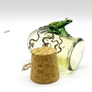 Glass Frog Jar, Chameleon Jar, Glass Stash Jar, Glass Smoking Jar, Hand Blown Jar, Glass Jar Gift  JP009-FR