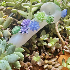 Hand pipe with Succulent Plants, QQ221-SUC